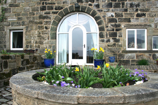 The daffs are out at Whiteley Royd Farm, Hebden Bridge